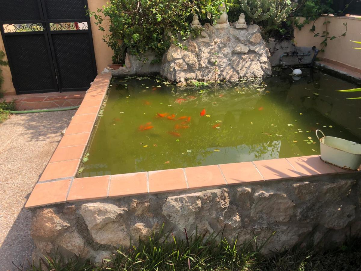 Family House With Pool Near Playa De Palma Feriehus